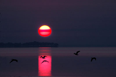 Harbour Pointe Sunset
